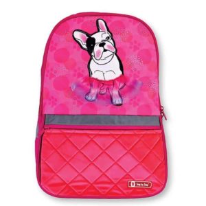 תיקים לבית הספר